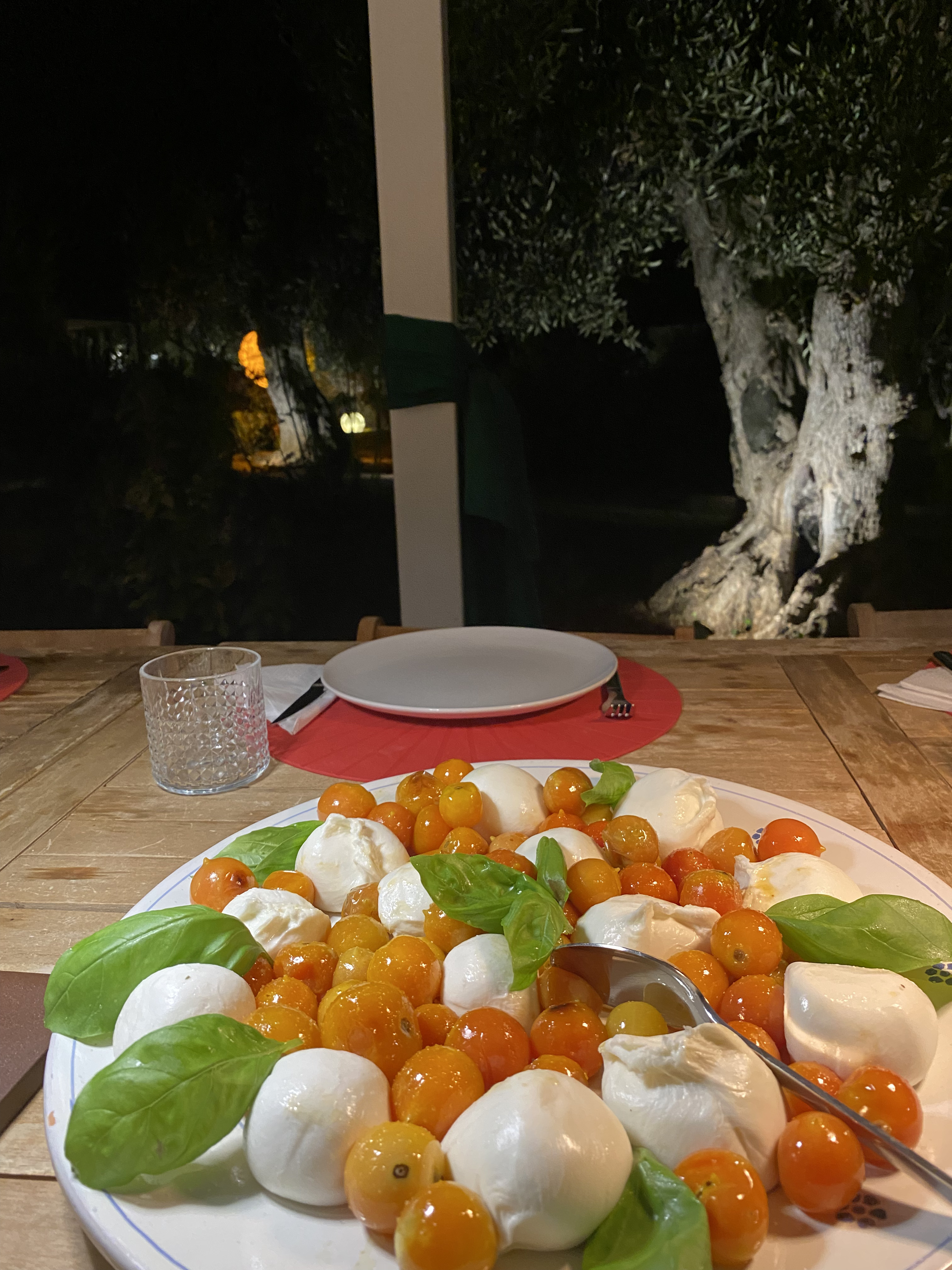 Burratine with yellow tomato and basil, under the olive tree